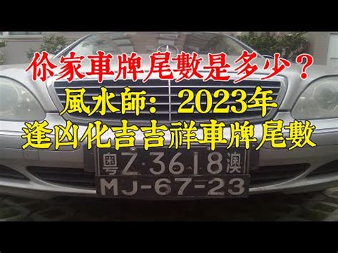 車牌分析